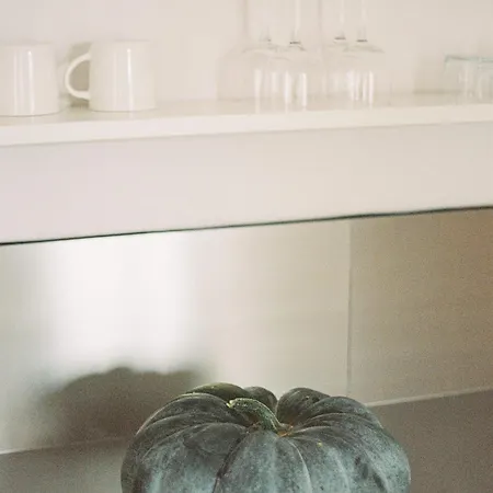 Verwalterinnenhaus Apartament