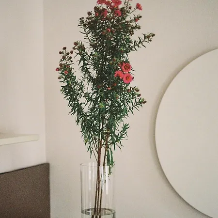 Apartament Verwalterinnenhaus