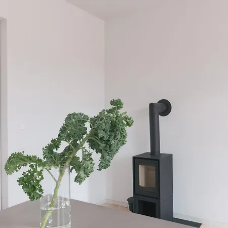 Verwalterinnenhaus Apartment Werben (Saxony-Anhalt)