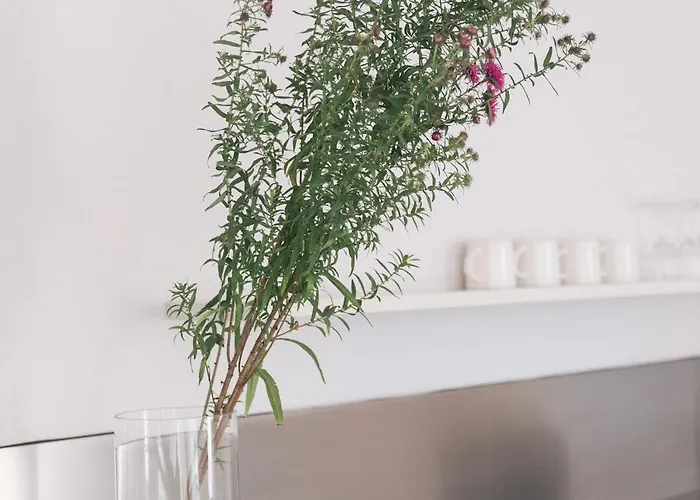 Verwalterinnenhaus Lejlighed